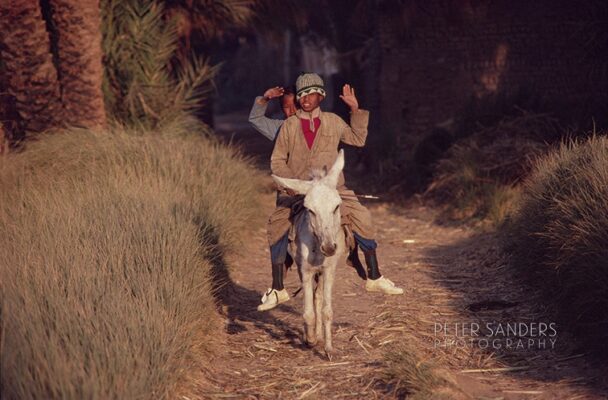 Peter Sanders - egy lx qur 012