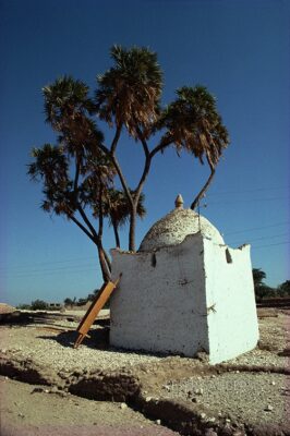 Peter Sanders - egy lx qur 101