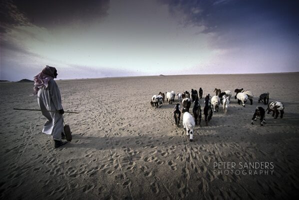 Peter Sanders - kuw ge des 040 1EDIT copy