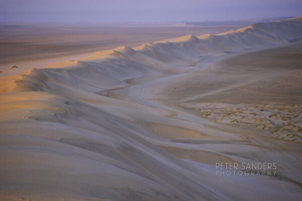 Peter Sanders - qatar 08