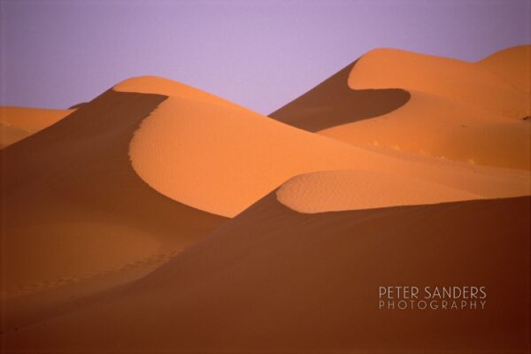 Peter Sanders - saudi arabia 19