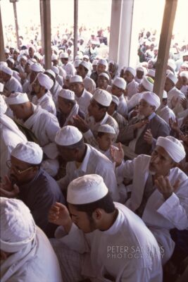 Peter Sanders - yemen 03